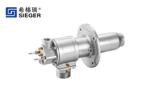 Gas Conventional Burner